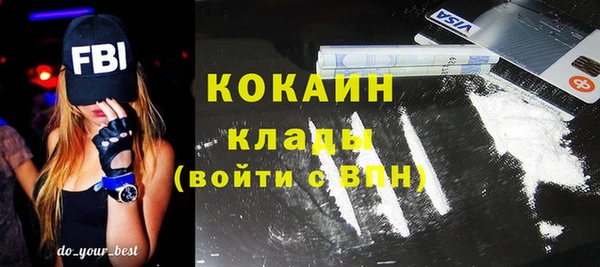 кокс Дмитриев