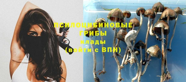 кокс Дмитриев
