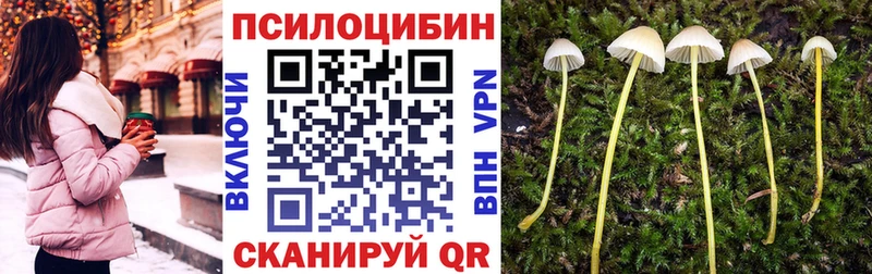 нарко площадка как зайти  Семёнов  Галлюциногенные грибы мухоморы 